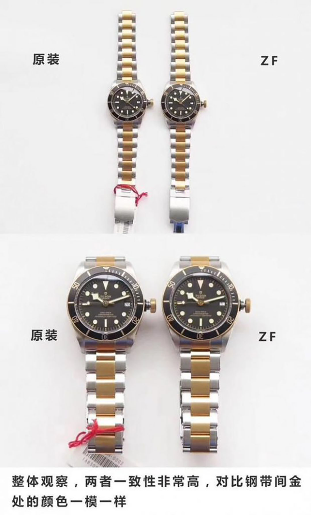 ZF厂帝舵启承碧湾79733N间金复刻腕表对比原装细节评测