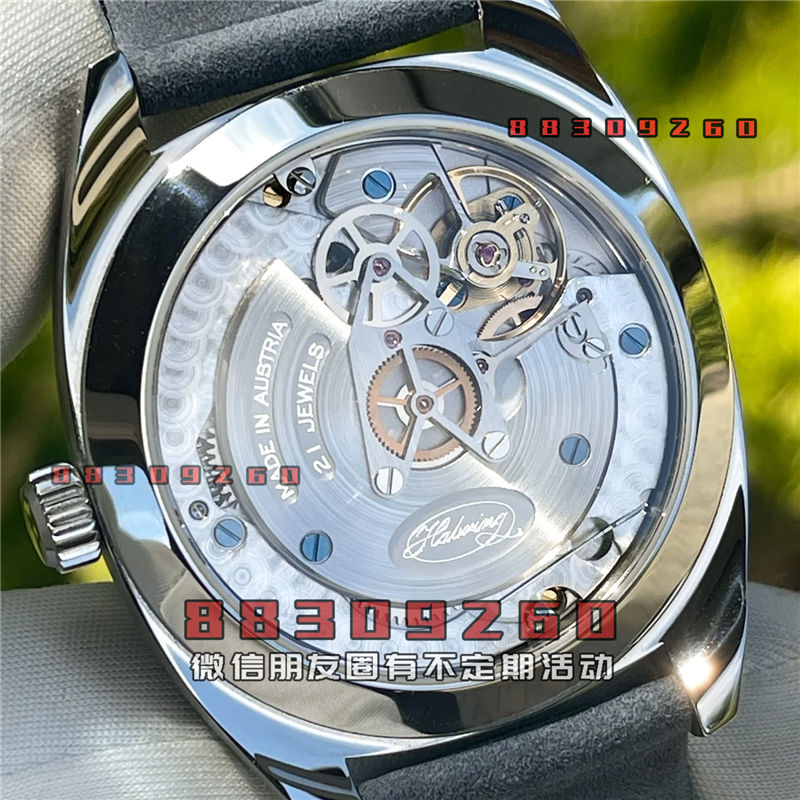 Habring² Josef 调速器，带跳秒功能